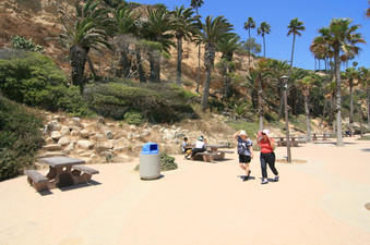 Enlarge photo 78
