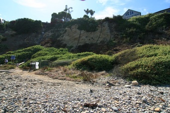 Enlarge photo 33
