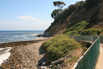 Enlarge photo 35