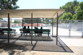 Enlarge photo 33