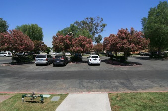 Enlarge photo 31
