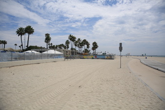 Enlarge photo 62