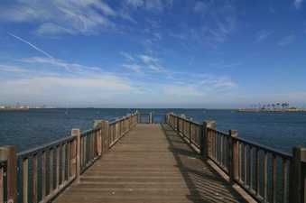 Enlarge photo 41