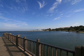 Enlarge photo 43