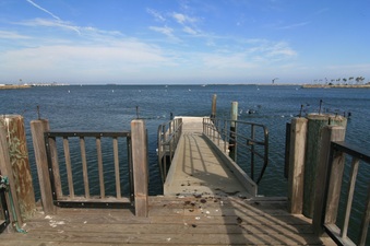 Enlarge photo 44