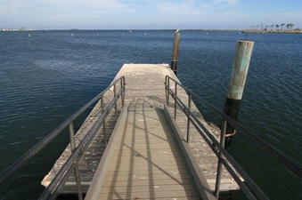 Enlarge photo 45
