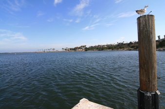 Enlarge photo 47