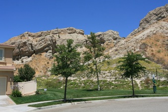 Enlarge photo 11
