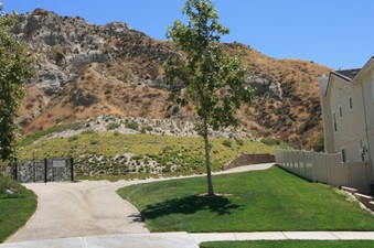 Enlarge photo 16