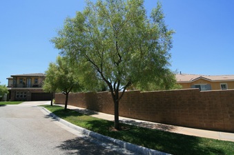 Enlarge photo 4