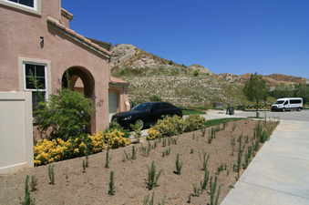 Enlarge photo 10