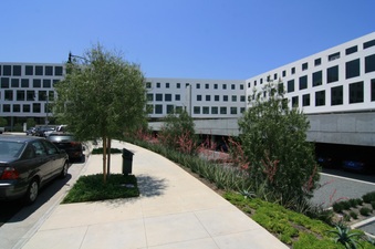 Enlarge photo 92