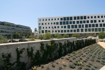 Enlarge photo 75