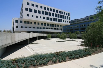 Enlarge photo 41