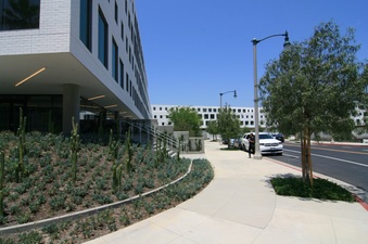 Enlarge photo 36