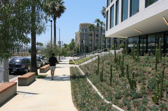 Enlarge photo 35