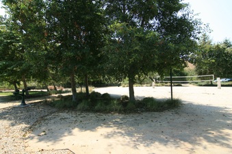 Enlarge photo 18