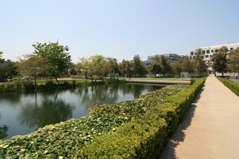 Enlarge photo 18