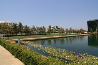 Enlarge photo 20