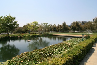 Enlarge photo 22