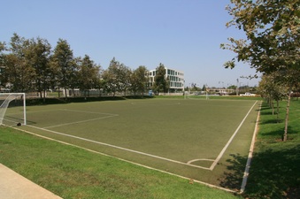 Enlarge photo 24