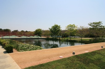 Enlarge photo 30