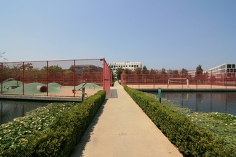 Enlarge photo 32