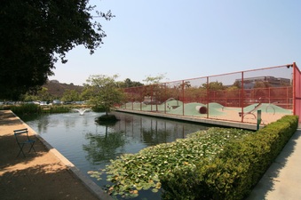 Enlarge photo 33