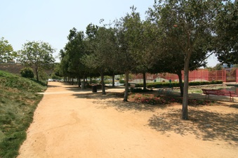 Enlarge photo 40