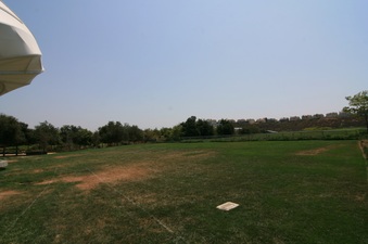 Enlarge photo 42