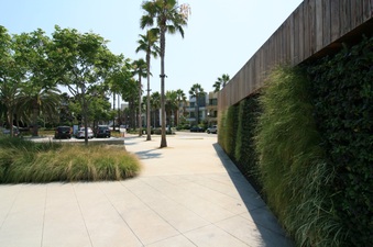 Enlarge photo 65
