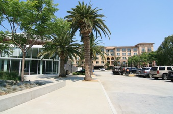 Enlarge photo 70