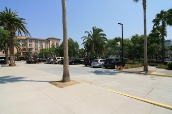Enlarge photo 73