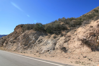 Enlarge photo 23
