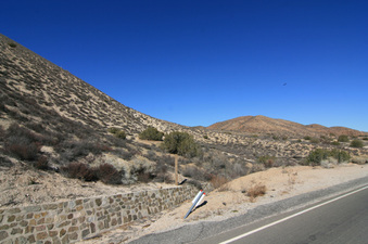 Enlarge photo 33