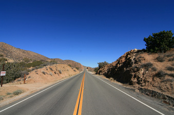 Enlarge photo 45
