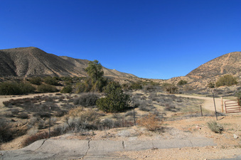 Enlarge photo 54