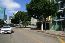 Enlarge photo 61