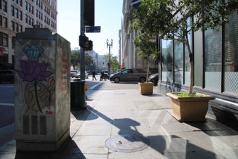 Enlarge photo 263