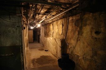 Enlarge photo 153