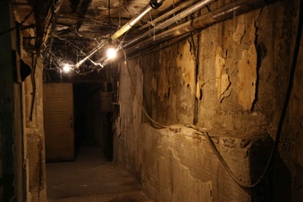 Enlarge photo 154