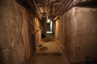 Enlarge photo 161