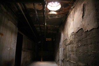 Enlarge photo 172