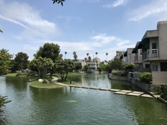 Enlarge photo 51