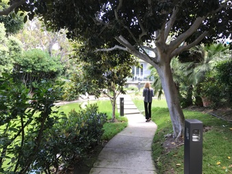 Enlarge photo 5