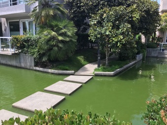 Enlarge photo 27