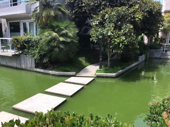Enlarge photo 31