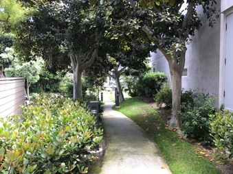 Enlarge photo 157