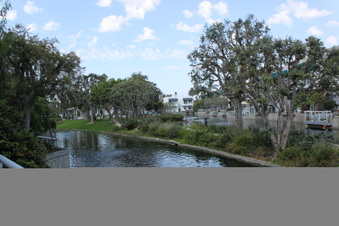 Enlarge photo 33