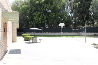 Enlarge photo 37